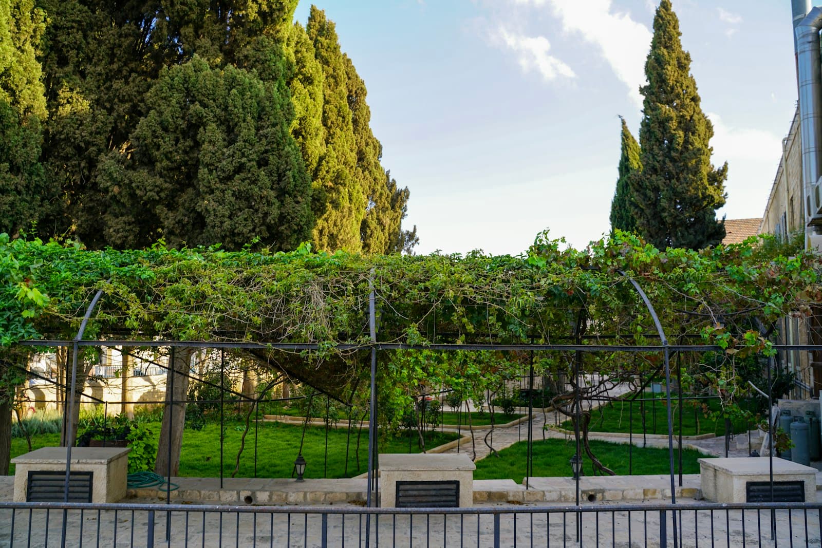 Uzun ağaçlar ve üzüm asmalarıyla kaplı kemerli bir yürüyüş yolu olan yemyeşil bir Akdeniz bahçesi