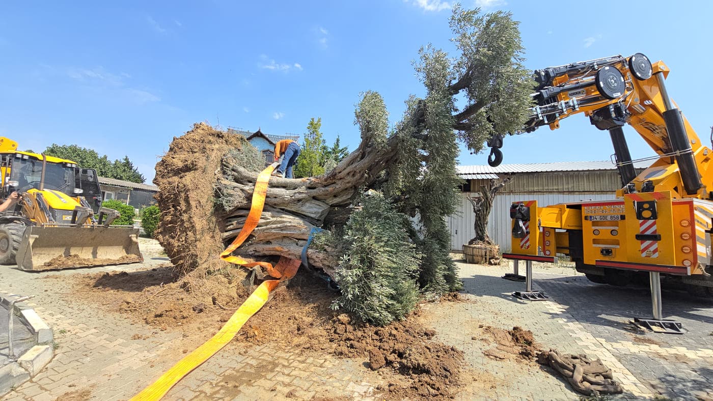 Amman Municipality — long-term maintenance partnership