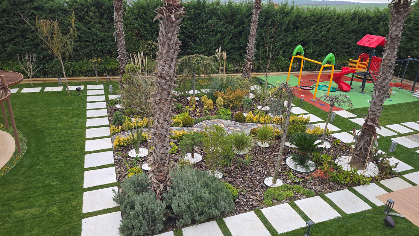 NAS Landscape — heritage bonsai olive specimens in our Istanbul nursery