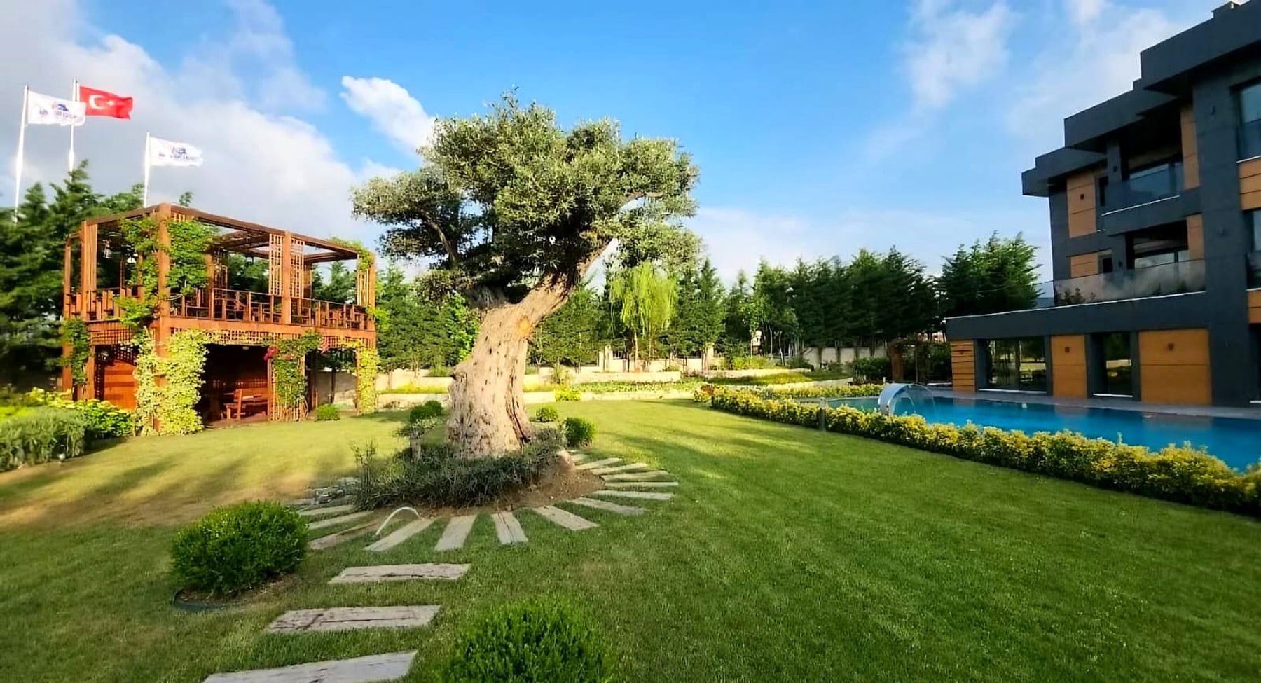 NAS Landscape — heritage olive tree, timber pergola and private pool in an Istanbul villa garden designed and built by the atelier